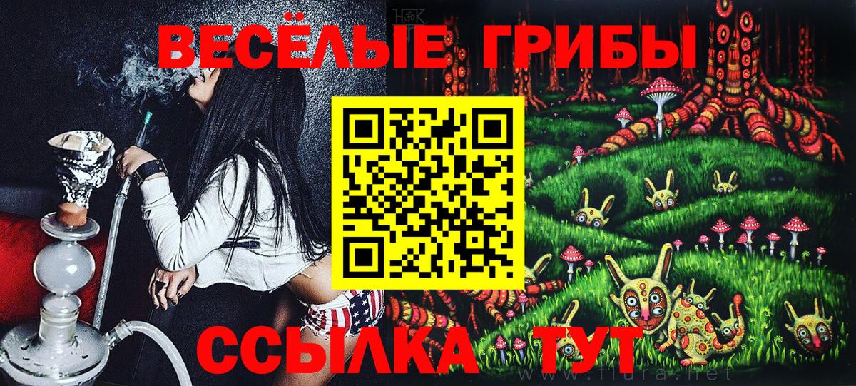 Ишимбай  Галлюциногенные грибы Psilocybine cubensis  Вход с VPN 